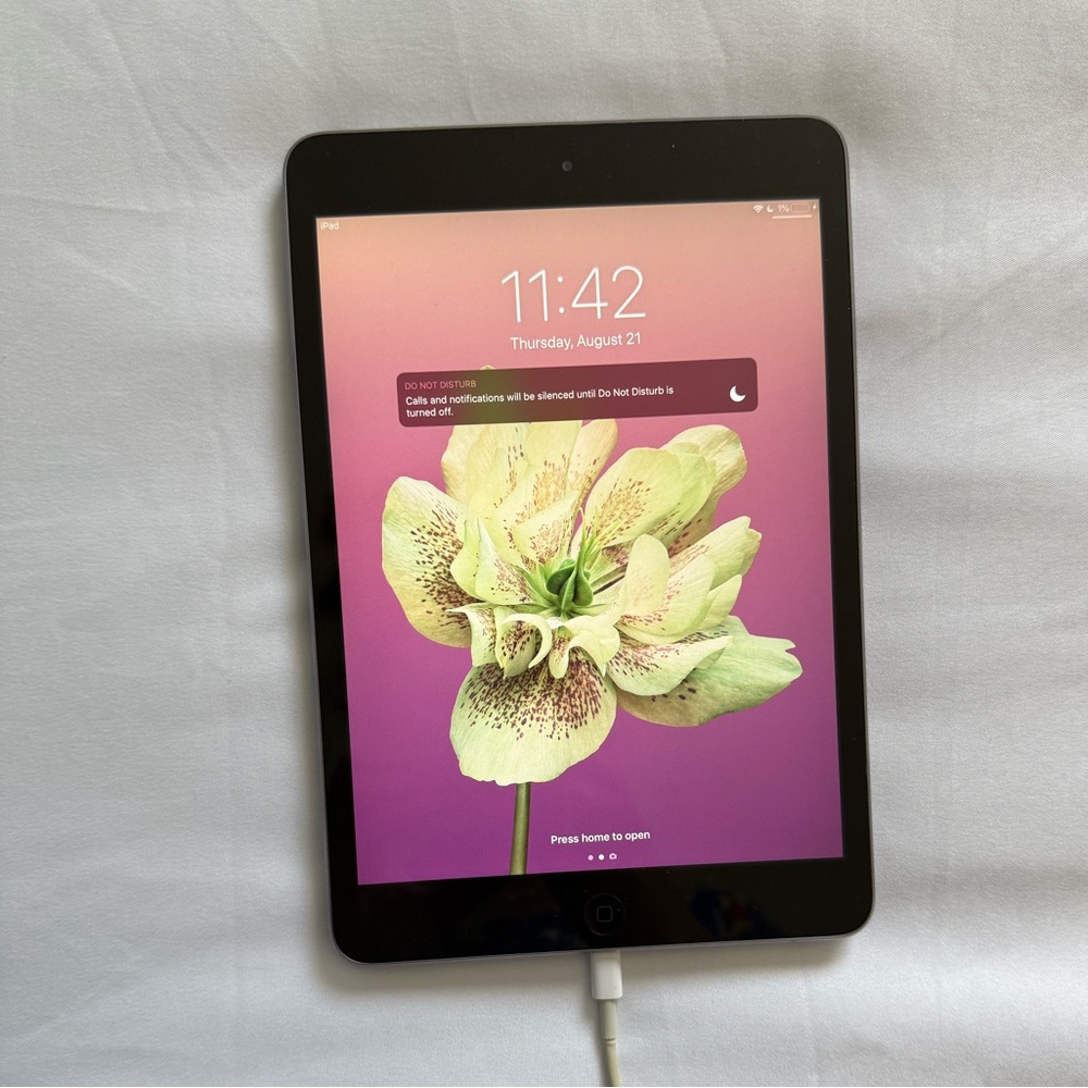 iPad Mini 2 Tablet